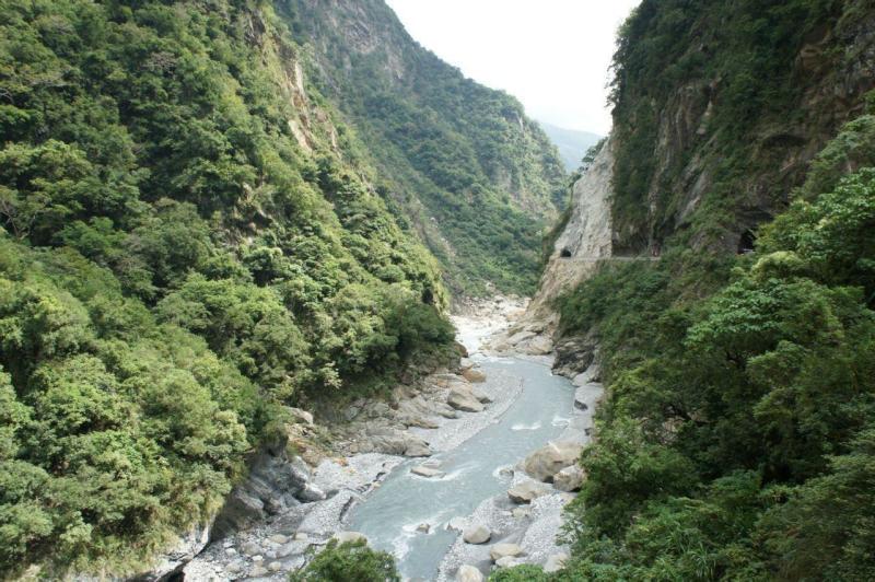 翻转吧，苹果虫