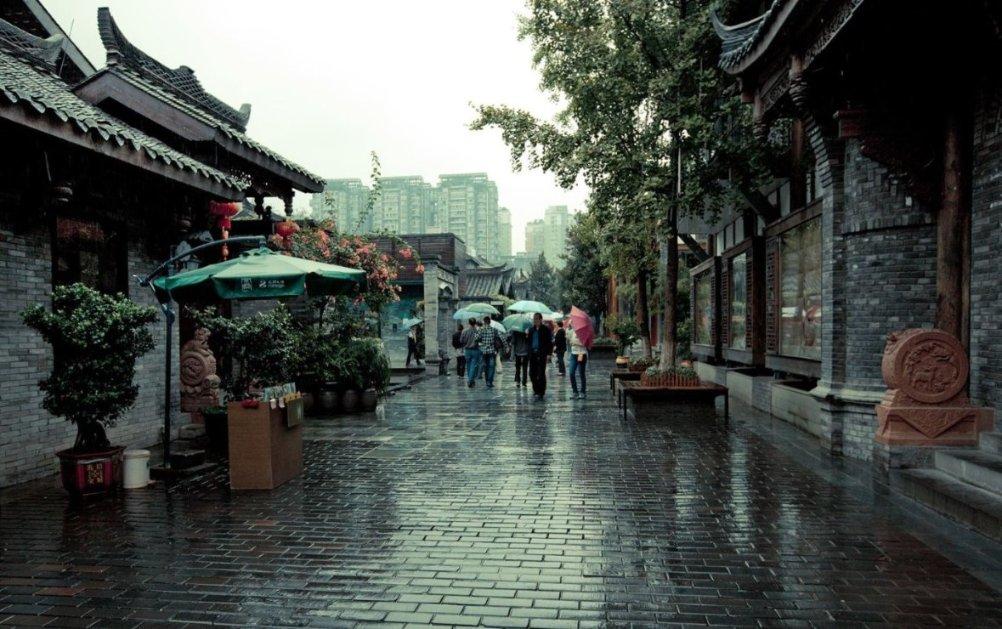 拯救精灵的土地9